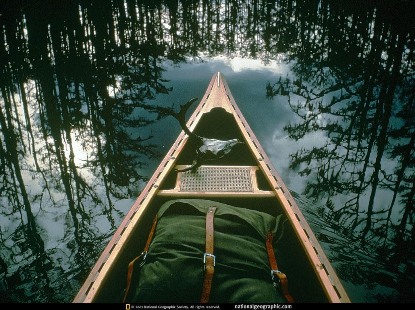 National Geographic 사진 (마무리)