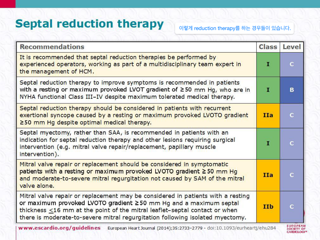 Septal reduction therapy(alcohol septal ablation) 도해