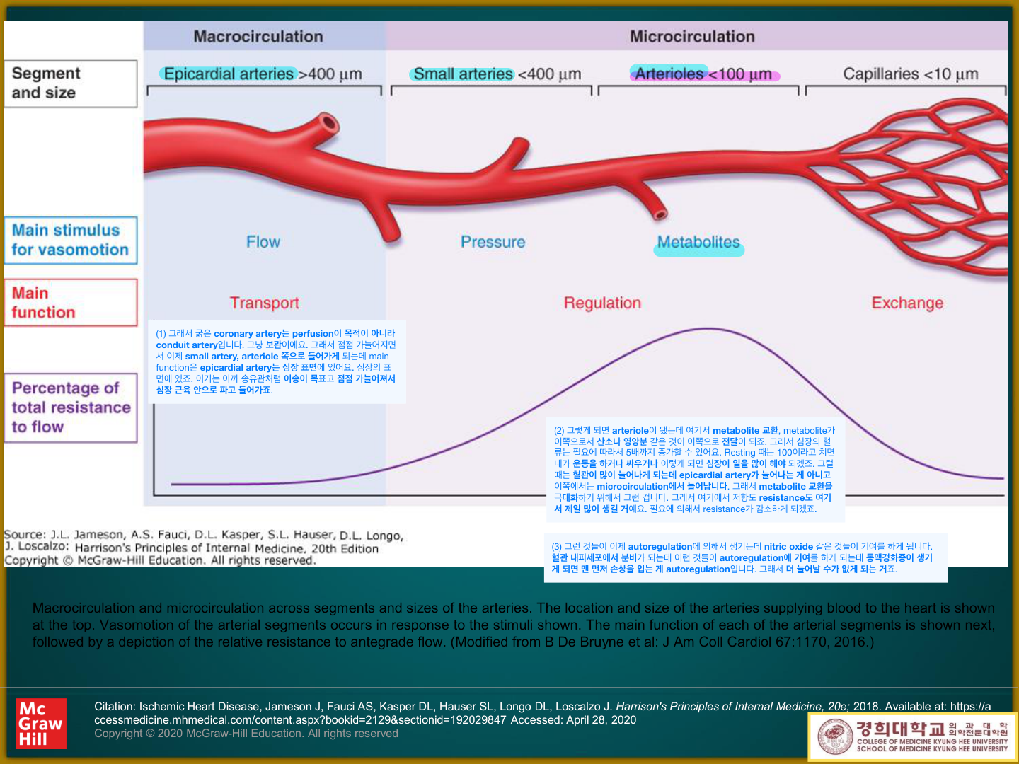 Harrison FIGURE 273-1 — macrocirculation/microcirculation 분절별 기능·저항