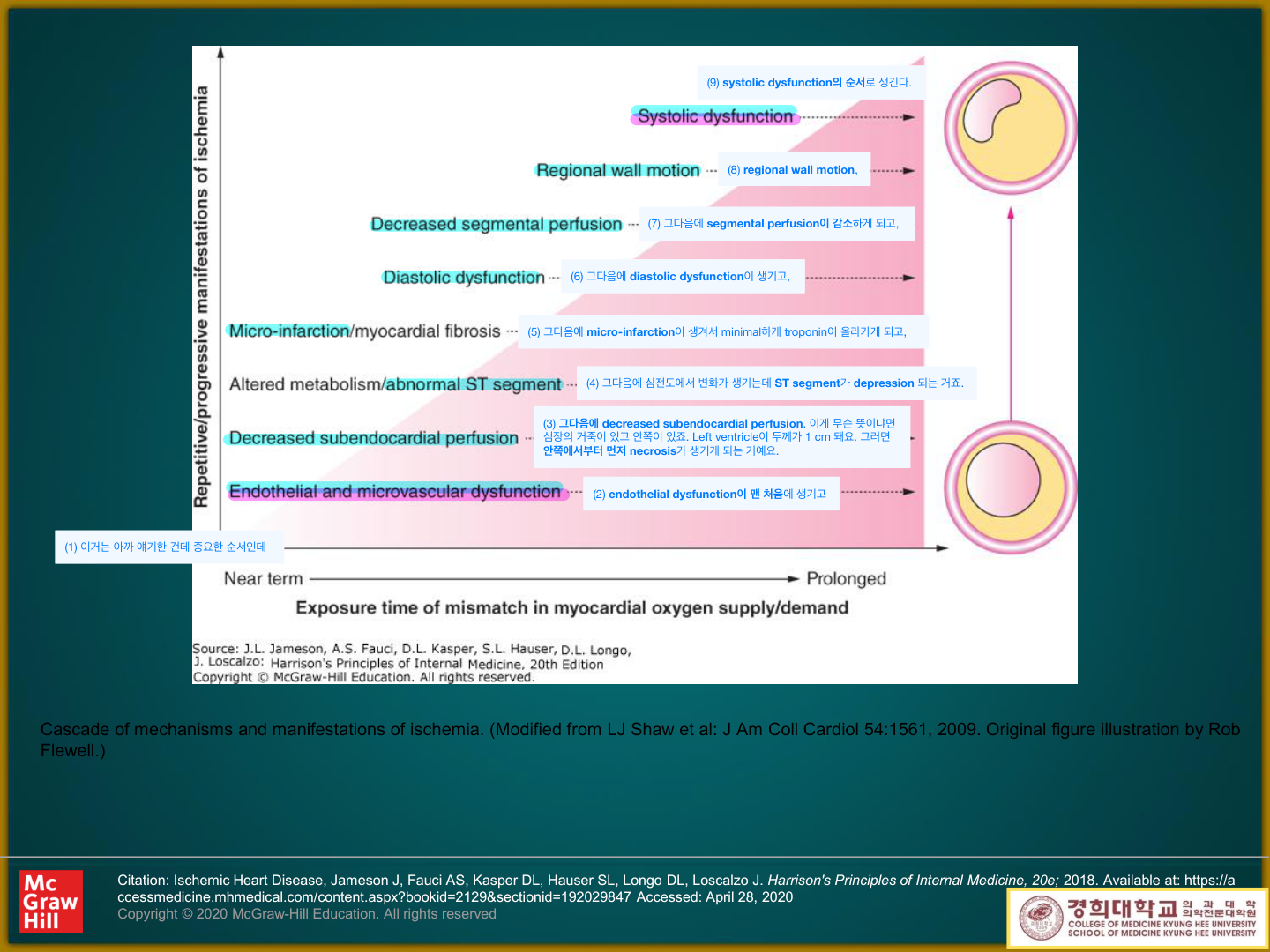 Harrison — cascade of mechanisms and manifestations of ischemia (Shaw et al)