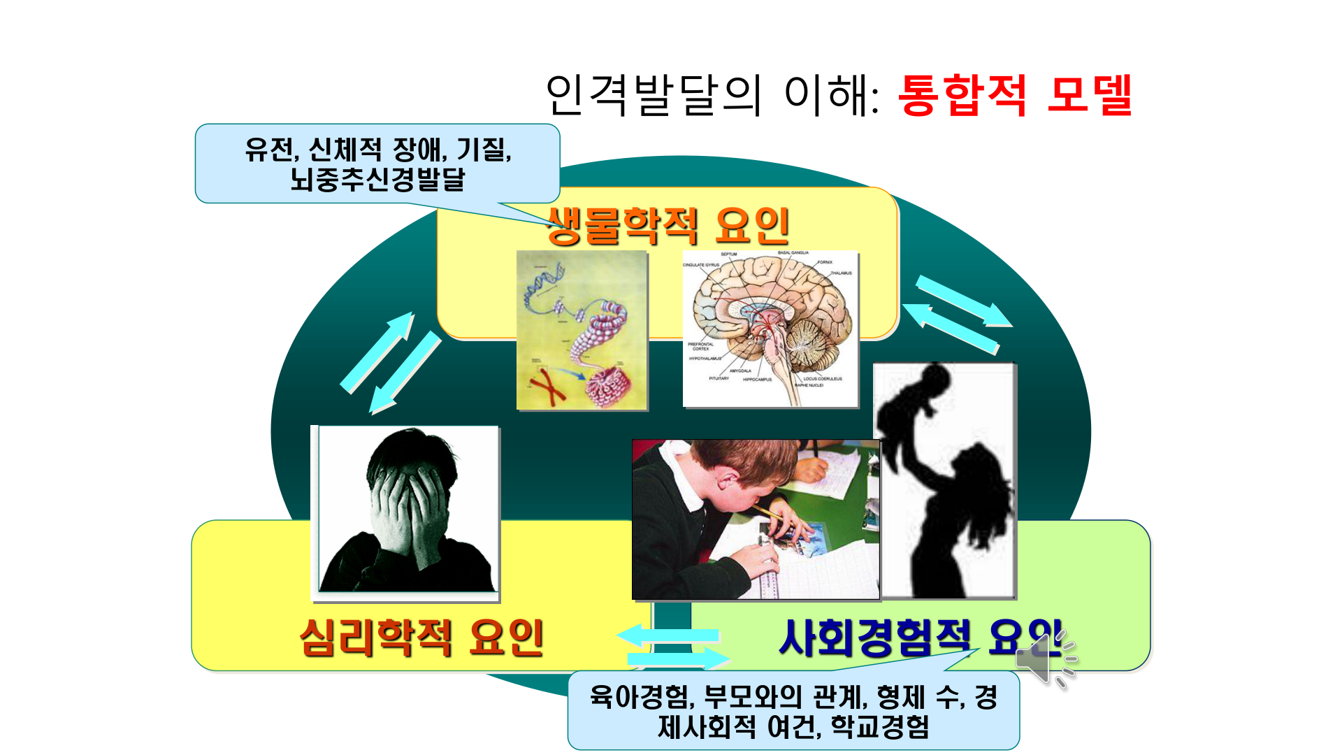 인격발달 통합모델 — 생물학적·심리학적·사회경험적 3요인(뇌 변연계 도해 포함).