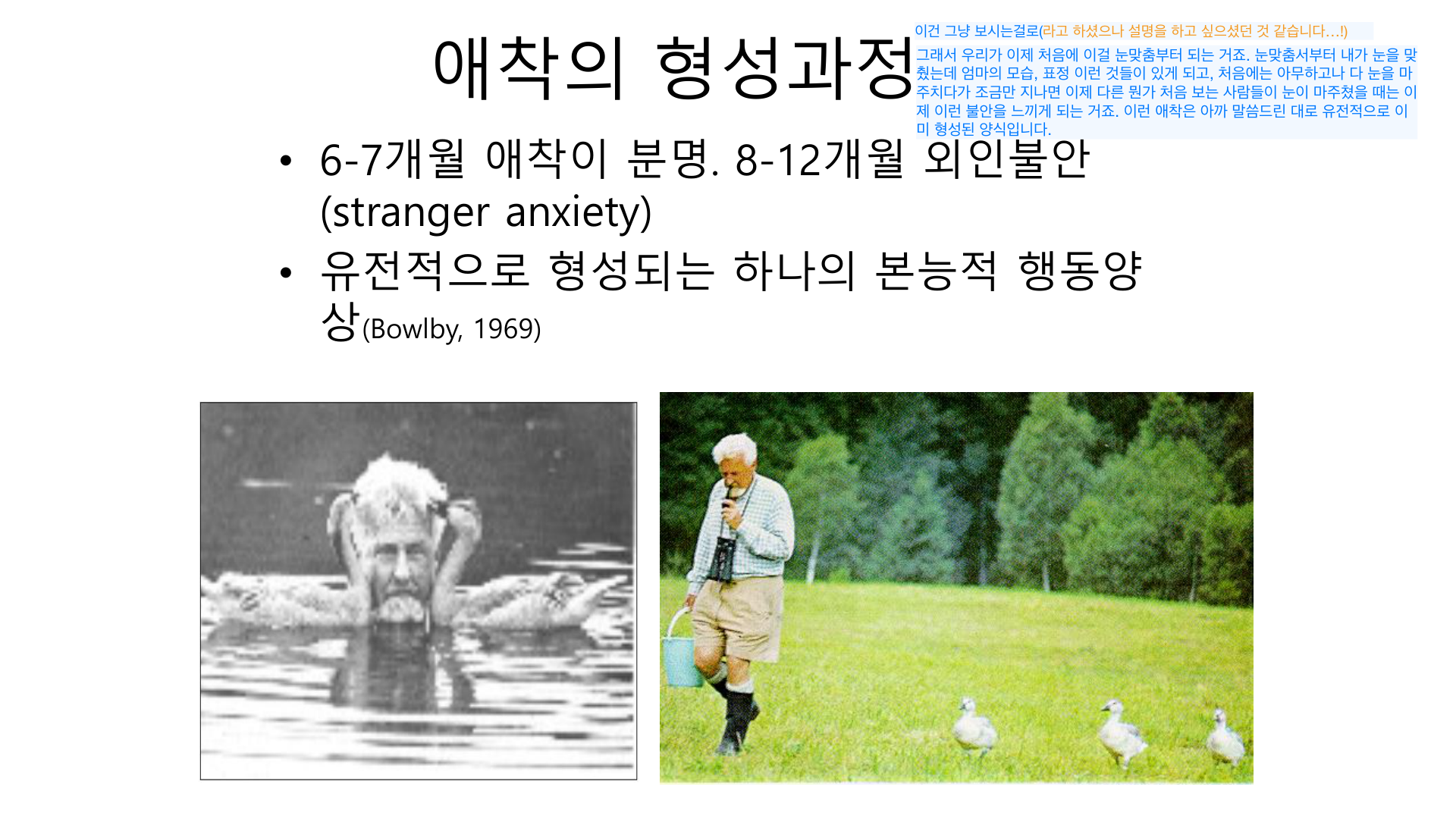 애착 형성과정 — 6–7개월 애착, 8–12개월 외인불안.