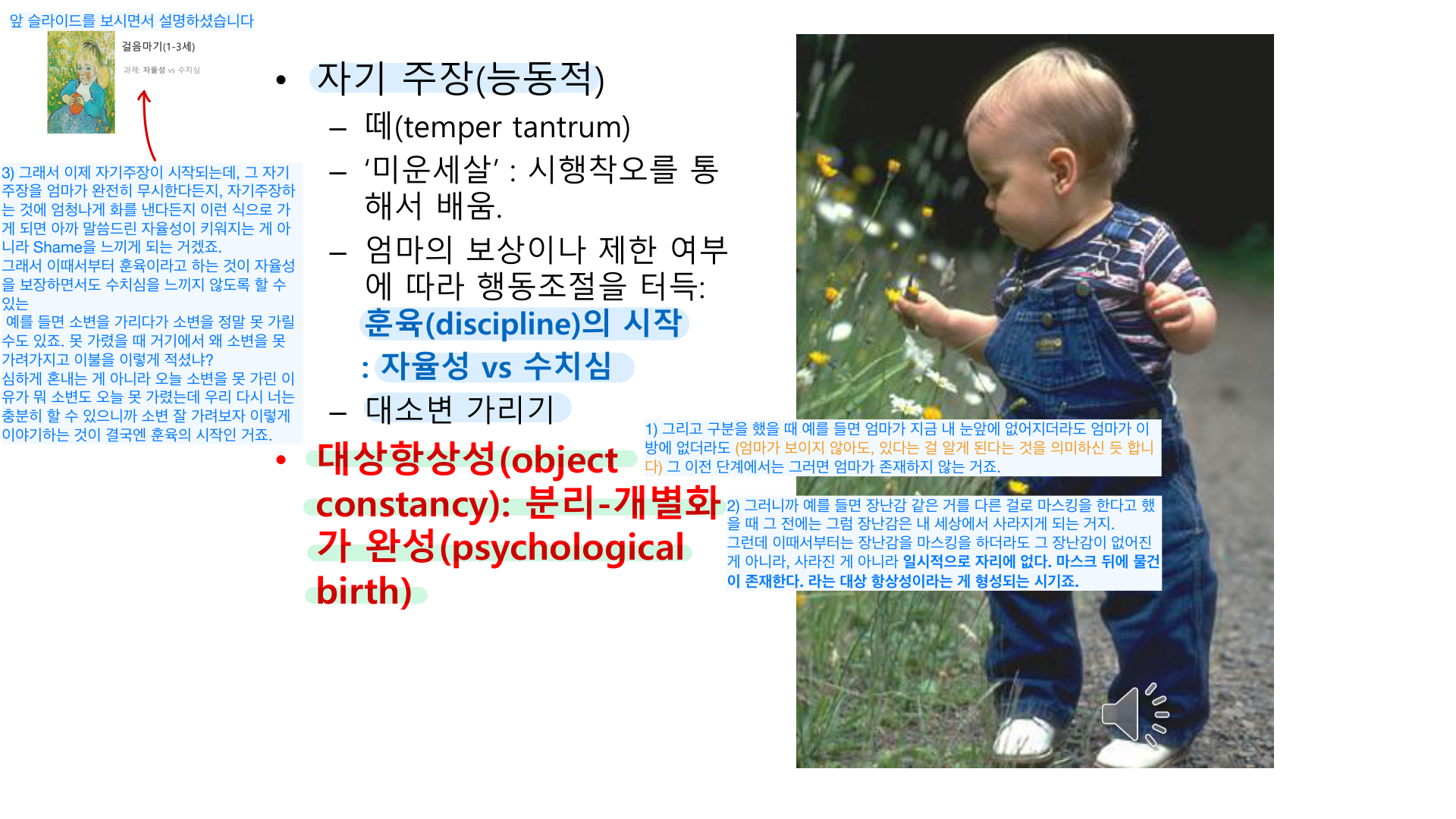 걸음마기 — 자기주장·대소변 가리기·대상항상성(분리-개별화 완성).
