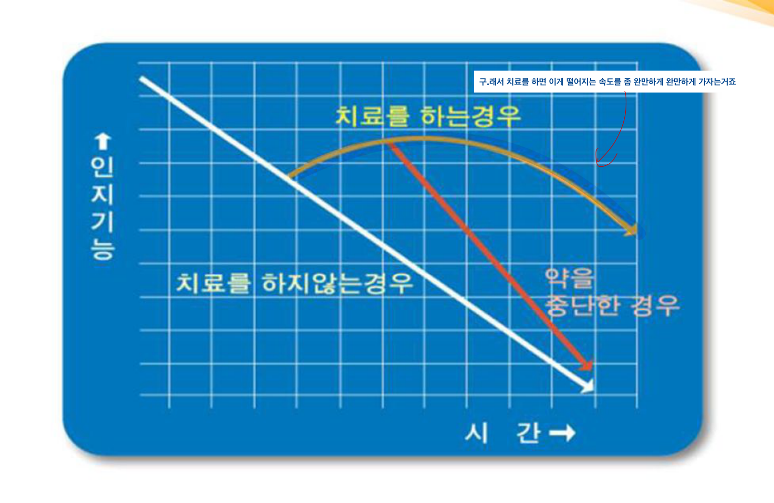 인지기능 저하 곡선: 치료(완만)/미치료(급강)/중단(재하강)