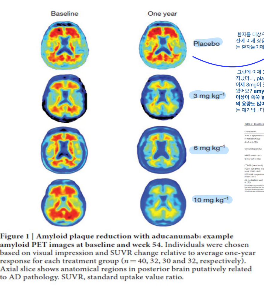Aducanumab 용량반응: amyloid PET SUVR 감소(주 26/54)
