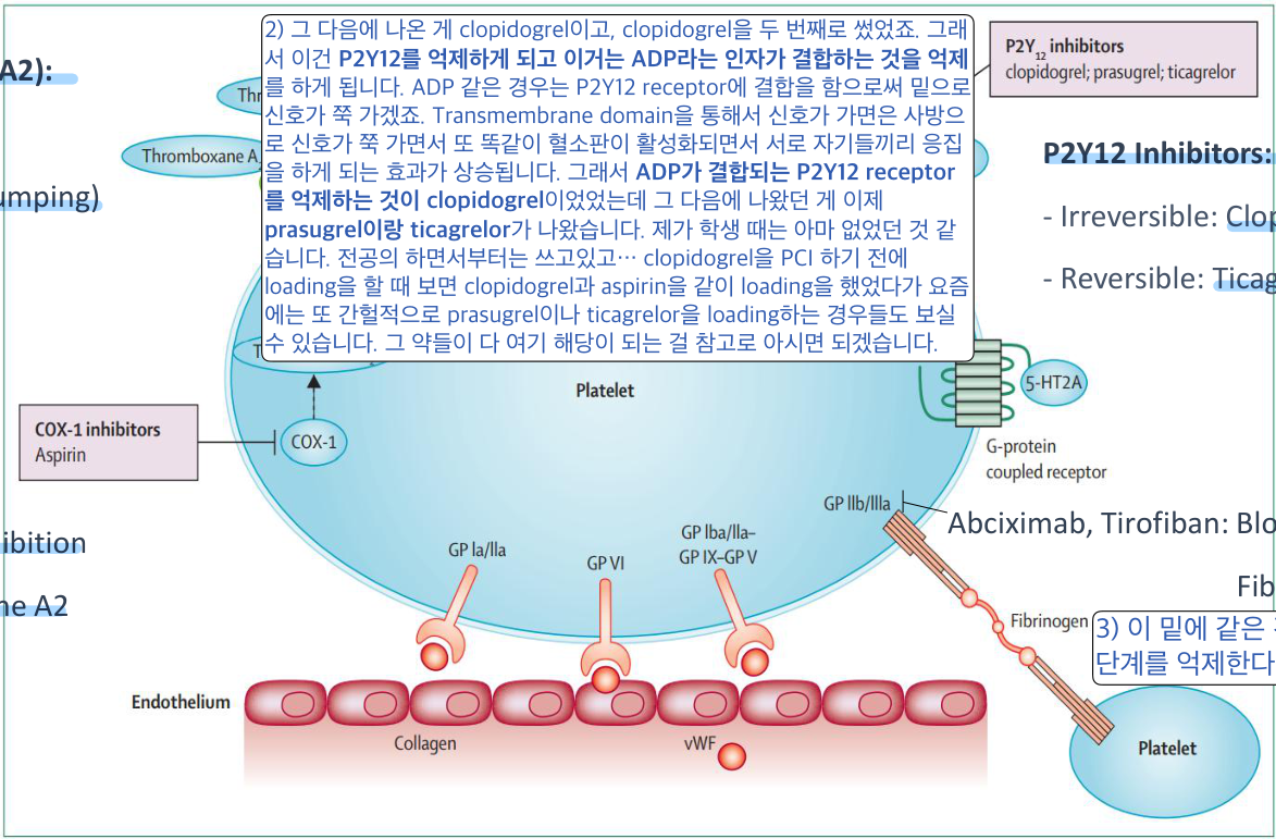 항혈소판제 작용 표적 도해 (Lancet 2015)