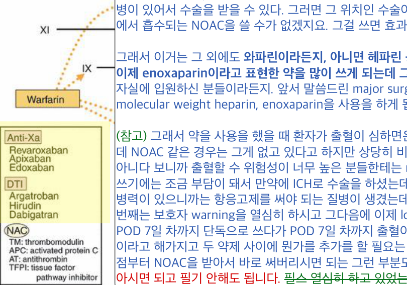 응고 cascade상 항응고제 표적 도해 (원본)