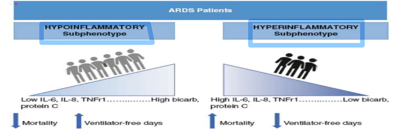 Hypo/hyperinflammatory subphenotype 및 trial 반응 (Crit Care 2020)