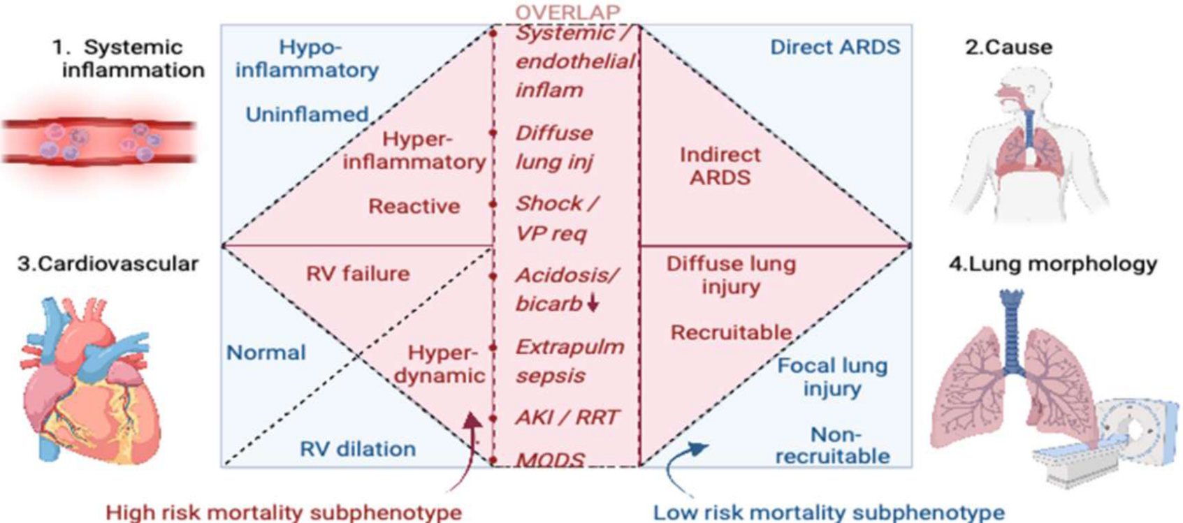 ARDS phenotype 4축 종합 (J Clin Med 2023)